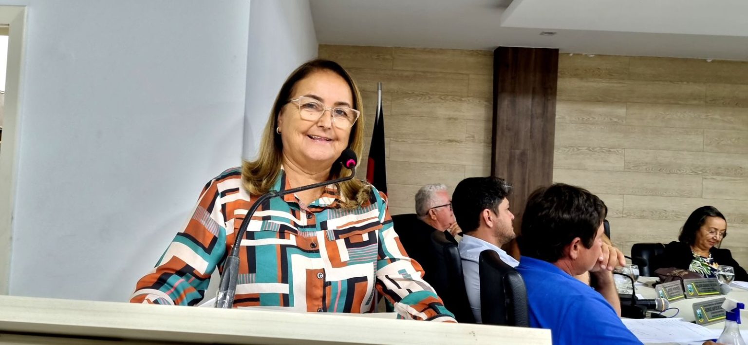 Vereadora Neuza Madruga apresenta Projeto de Lei que proíbe a soltura de fogos de artifício com efeito sonoro